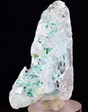 4.9cms GEM ATACAMITE INSIDE SELENITE CRYSTAL LILY MINE 2000 DISCOVERY PERU TB133