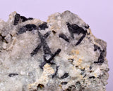 6.4cms NATIVE GOLD FERBERITE QUARTZ CRYSTAL MINERAL LB226