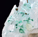 4.9cms GEM ATACAMITE INSIDE SELENITE CRYSTAL LILY MINE 2000 DISCOVERY PERU TB133