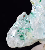 4.9cms GEM ATACAMITE INSIDE SELENITE CRYSTAL LILY MINE 2000 DISCOVERY PERU TB133