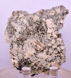 6.4cms NATIVE GOLD FERBERITE QUARTZ CRYSTAL MINERAL LB226