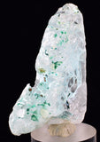 4.9cms GEM ATACAMITE INSIDE SELENITE CRYSTAL LILY MINE 2000 DISCOVERY PERU TB133
