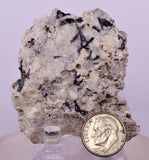 6.4cms NATIVE GOLD FERBERITE QUARTZ CRYSTAL MINERAL LB226
