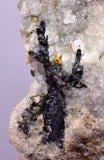 6.4cms NATIVE GOLD FERBERITE QUARTZ CRYSTAL MINERAL LB226