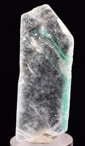 5.4cms GEM ATACAMITE INSIDE SELENITE CRYSTAL LILY MINE 2000 DISCOVERY PERU TB134