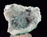 4cms GEM ATACAMITE INSIDE SELENITE CRYSTAL LILY MINE 2000 DISCOVERY PERU TB135