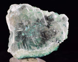 4cms GEM ATACAMITE INSIDE SELENITE CRYSTAL LILY MINE 2000 DISCOVERY PERU TB135