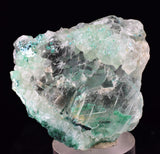 4cms GEM ATACAMITE INSIDE SELENITE CRYSTAL LILY MINE 2000 DISCOVERY PERU TB135