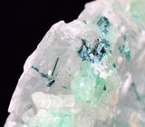 4cms GEM ATACAMITE INSIDE SELENITE CRYSTAL LILY MINE 2000 DISCOVERY PERU TB135