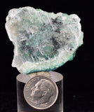 4cms GEM ATACAMITE INSIDE SELENITE CRYSTAL LILY MINE 2000 DISCOVERY PERU TB135