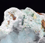 4.3cms GEM ATACAMITE INSIDE SELENITE CRYSTAL LILY MINE 2000 DISCOVERY PERU TB136