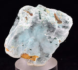 4.3cms GEM ATACAMITE INSIDE SELENITE CRYSTAL LILY MINE 2000 DISCOVERY PERU TB136