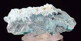 4.3cms GEM CHRYSOCOLLA INSIDE SELENITE CRYSTAL LILY MINE PERU TB222