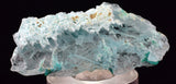 4.3cms GEM CHRYSOCOLLA INSIDE SELENITE CRYSTAL LILY MINE PERU TB222