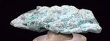 4.3cms GEM CHRYSOCOLLA INSIDE SELENITE CRYSTAL LILY MINE PERU TB222