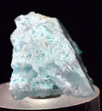4.3cms GEM CHRYSOCOLLA INSIDE SELENITE CRYSTAL LILY MINE PERU TB222