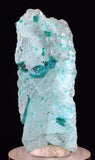 4.3cms GEM CHRYSOCOLLA INSIDE SELENITE CRYSTAL LILY MINE PERU TB222