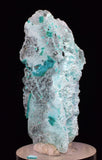 4.3cms GEM CHRYSOCOLLA INSIDE SELENITE CRYSTAL LILY MINE PERU TB222