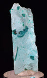 4.3cms GEM CHRYSOCOLLA INSIDE SELENITE CRYSTAL LILY MINE PERU TB222