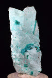 4.3cms GEM CHRYSOCOLLA INSIDE SELENITE CRYSTAL LILY MINE PERU TB222