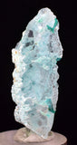 4.3cms GEM CHRYSOCOLLA INSIDE SELENITE CRYSTAL LILY MINE PERU TB222