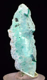 4.3cms GEM CHRYSOCOLLA INSIDE SELENITE CRYSTAL LILY MINE PERU TB222