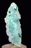4.3cms GEM CHRYSOCOLLA INSIDE SELENITE CRYSTAL LILY MINE PERU TB222