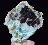 4.6cms GEM CHRYSOCOLLA INSIDE SELENITE CRYSTAL LILY MINE PERU TB223