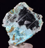 4.6cms GEM CHRYSOCOLLA INSIDE SELENITE CRYSTAL LILY MINE PERU TB223