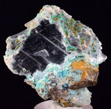 4.6cms GEM CHRYSOCOLLA INSIDE SELENITE CRYSTAL LILY MINE PERU TB223