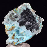 4.6cms GEM CHRYSOCOLLA INSIDE SELENITE CRYSTAL LILY MINE PERU TB223