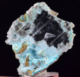 4.6cms GEM CHRYSOCOLLA INSIDE SELENITE CRYSTAL LILY MINE PERU TB223