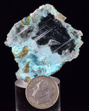 4.6cms GEM CHRYSOCOLLA INSIDE SELENITE CRYSTAL LILY MINE PERU TB223