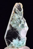 4.2cms GEM CHRYSOCOLLA INSIDE SELENITE CRYSTAL LILY MINE PERU TB224