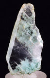 4.2cms GEM CHRYSOCOLLA INSIDE SELENITE CRYSTAL LILY MINE PERU TB224