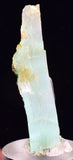 4.2cms GEM CHRYSOCOLLA INSIDE SELENITE CRYSTAL LILY MINE PERU TB224