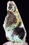 4.2cms GEM CHRYSOCOLLA INSIDE SELENITE CRYSTAL LILY MINE PERU TB224
