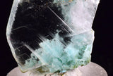 4.2cms GEM CHRYSOCOLLA INSIDE SELENITE CRYSTAL LILY MINE PERU TB224
