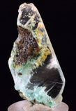 4.2cms GEM CHRYSOCOLLA INSIDE SELENITE CRYSTAL LILY MINE PERU TB224
