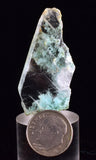 4.2cms GEM CHRYSOCOLLA INSIDE SELENITE CRYSTAL LILY MINE PERU TB224