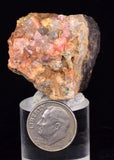 4.3cm RHODOCHROSITE CRYSTALS PERU OLD STOCK UCHUCCHACUA MINERAL SPECIMEN RB768