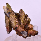 7.6cms TURGITE BOTRYOIDAL IRIDESCENT CRYSTALS PERU IRON NEW FIND MINERAL ZB60