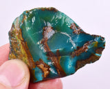 25grs GEM SILICA CHRYSOCOLLA CHALCEDONY LILY MINE PERU ROUGH SB247