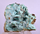 9.5cms DRUZY CHRYSOCOLLA CALCITE PERU COPPER 2000 DISCOVERY DB115
