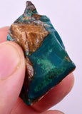 23grs GEM SILICA CHRYSOCOLLA CHALCEDONY LILY MINE PERU ROUGH SB252
