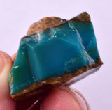 23grs GEM SILICA CHRYSOCOLLA CHALCEDONY LILY MINE PERU ROUGH SB252