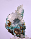 10cms DRUZY CHRYSOCOLLA CALCITE PERU COPPER 2000 DISCOVERY DB116