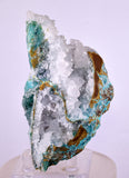 10cms DRUZY CHRYSOCOLLA CALCITE PERU COPPER 2000 DISCOVERY DB116