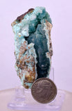 6.1cms DRUZY CHRYSOCOLLA QUARTZ CRYSTAL LILY MINE PERU 2000 YEAR DB327