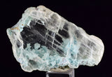 4.5cms GEM CHRYSOCOLLA INSIDE SELENITE CRYSTAL LILY MINE 2000 DISCOVERY PERU TB140